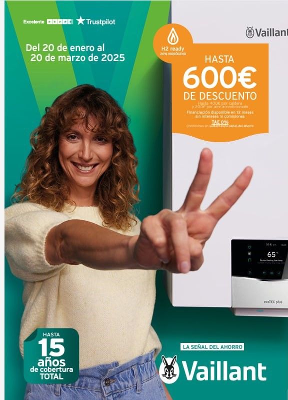 Oferta Vaillant