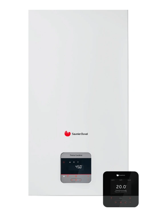 Imagen 1 del producto -  SAUNIER DUVAL Thema MiConnect® 31-CS/1-Cf (N-ES) + MiSet Radio